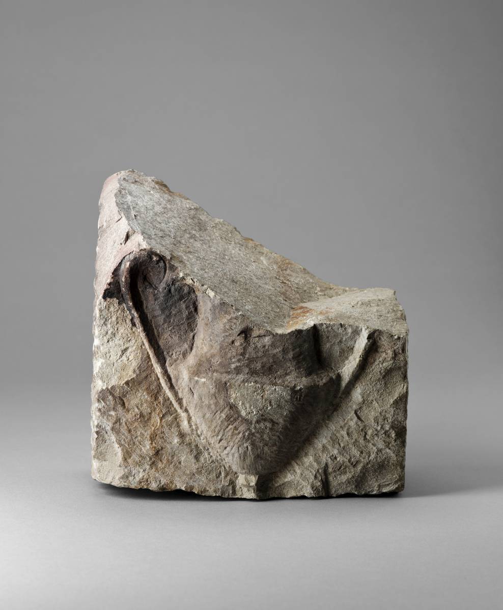 Photographie de la stèle