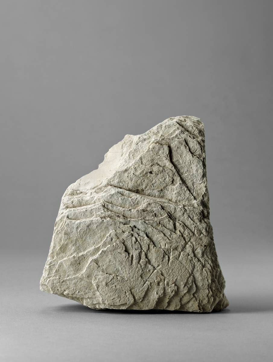 Photographie de la stèle