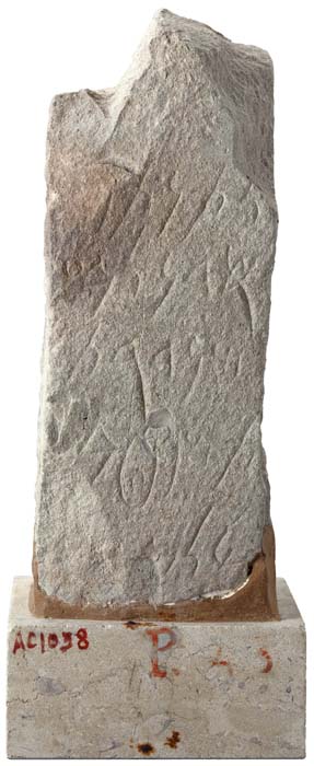 Cat. 1257