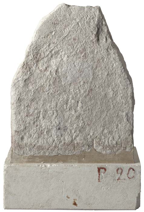 Cat. 1263