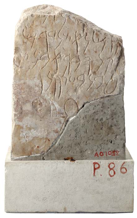 Cat. 1306