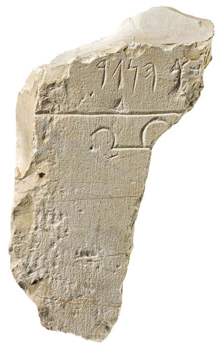 Cat. 58