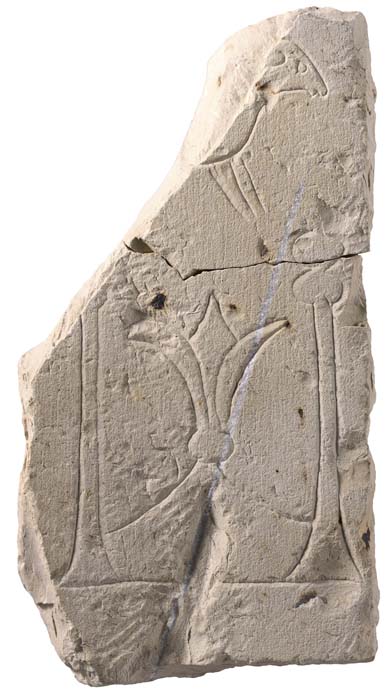 Cat. 1105