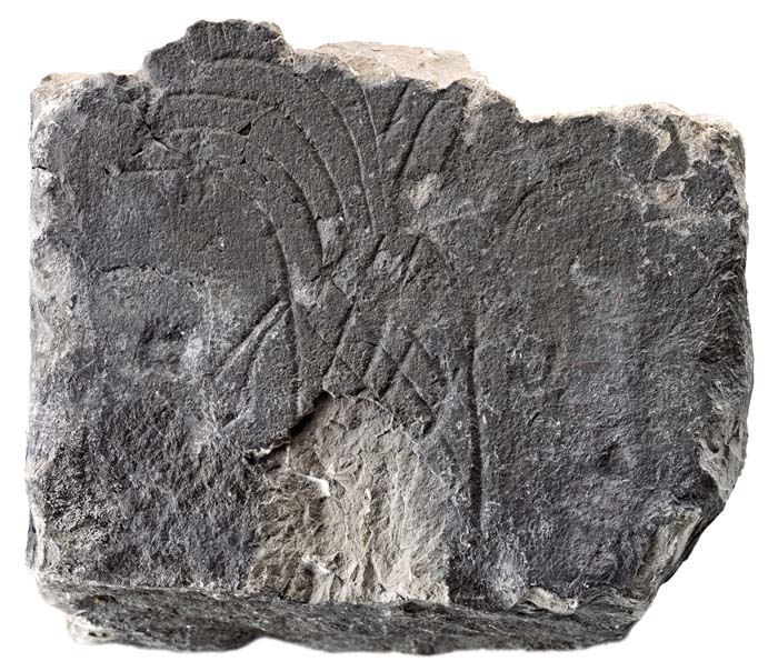 Cat. 1110