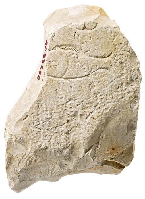 Cat. 105