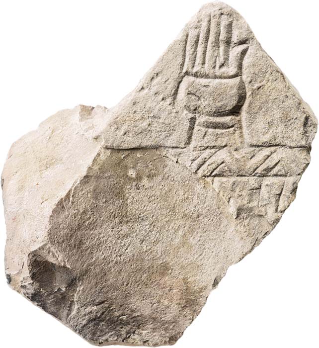 Cat. 119