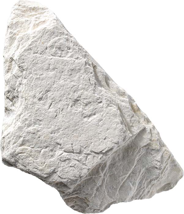 Cat. 135