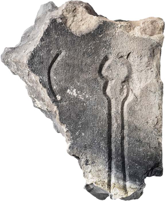 Cat. 1122