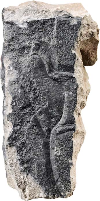 Cat. 1128