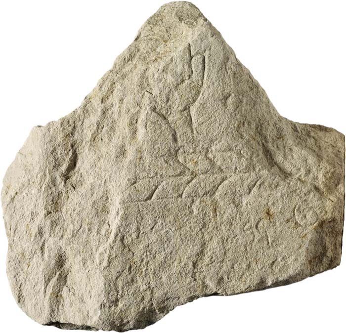 Cat. 184