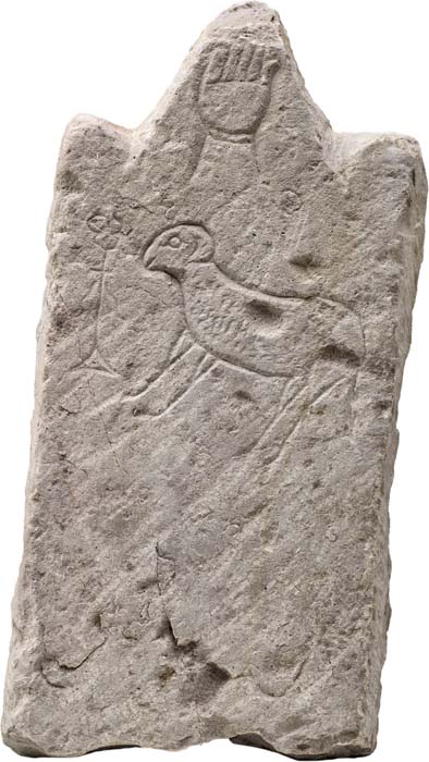 Cat. 1144