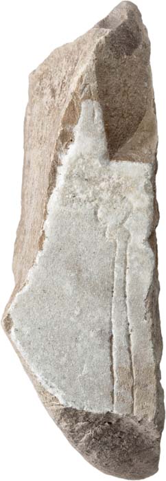 Cat. 1151