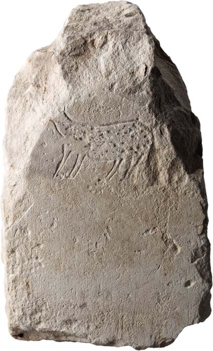 Cat. 1155