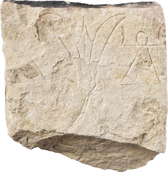 Cat. 981