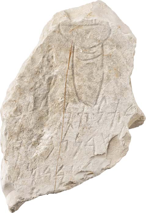 Cat. 337