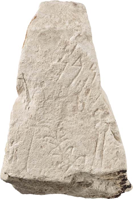 Cat. 345