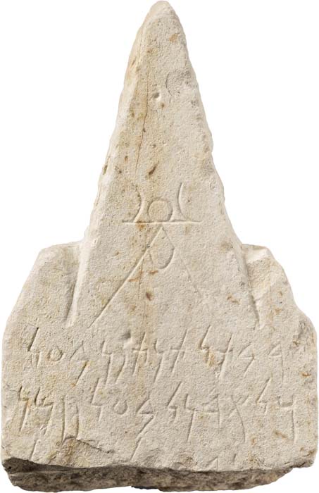 Cat. 349