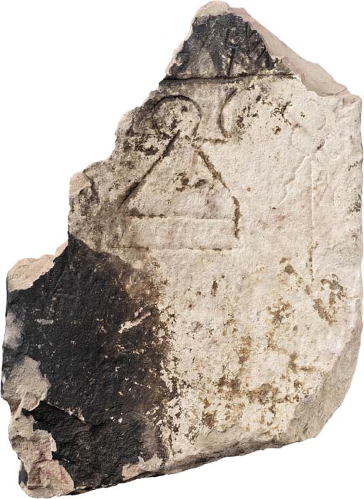 Cat. 351