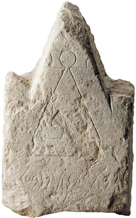 Cat. 1181
