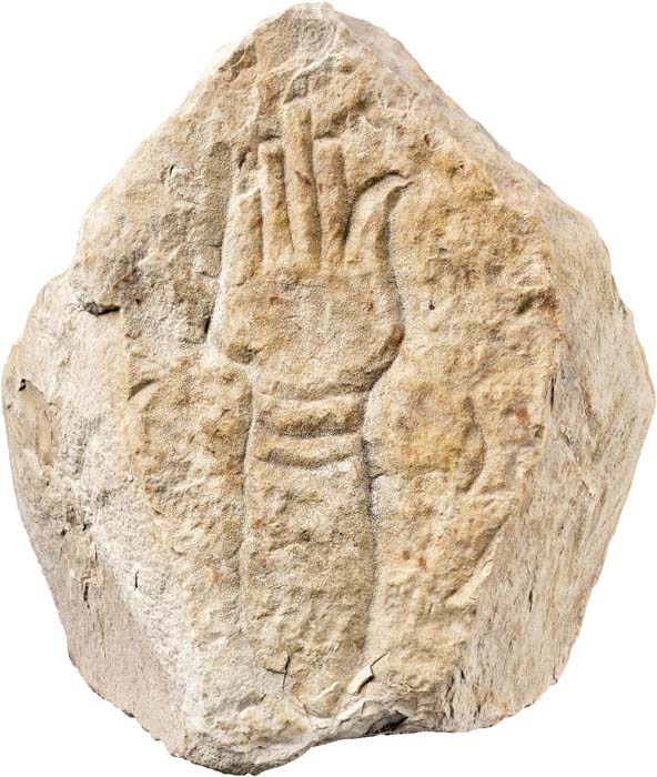 Cat. 1183