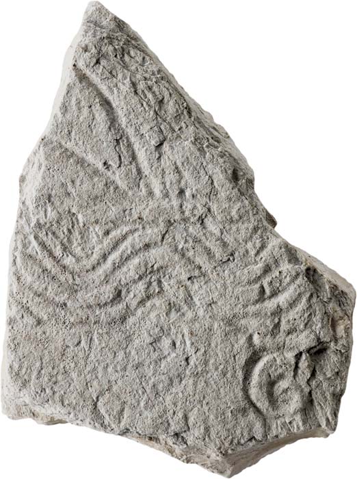 Cat. 1195