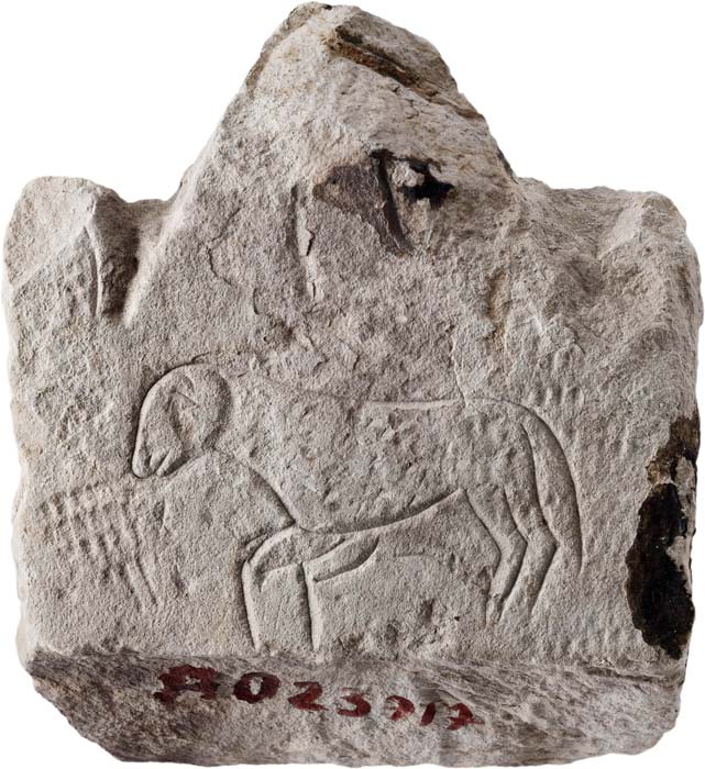 Cat. 1008
