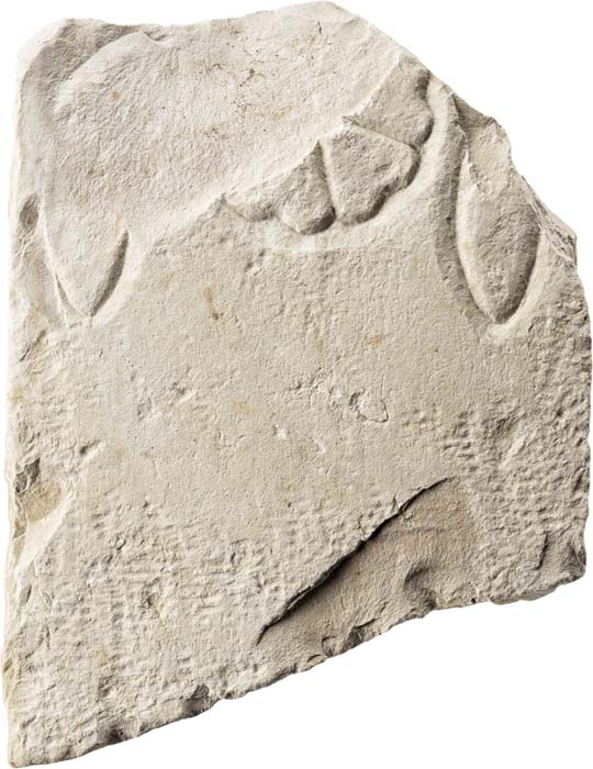 Cat. 1205