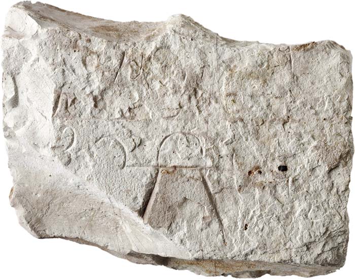 Cat. 509