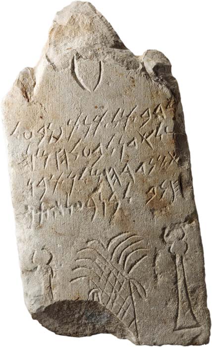 Cat. 1049