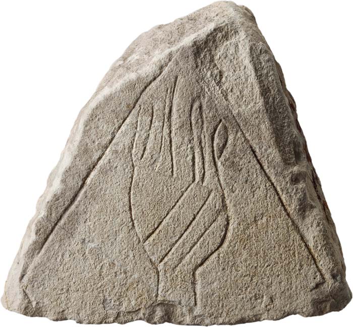 Cat. 544