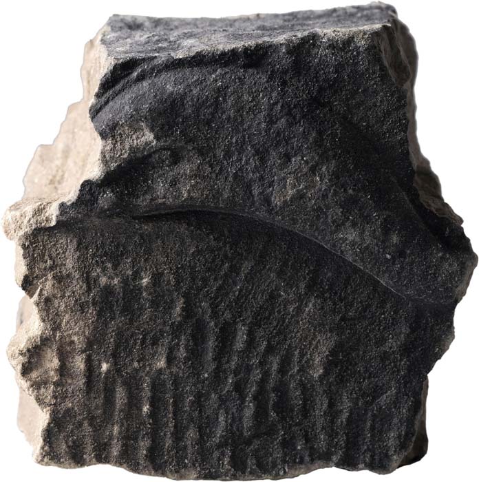 Cat. 570