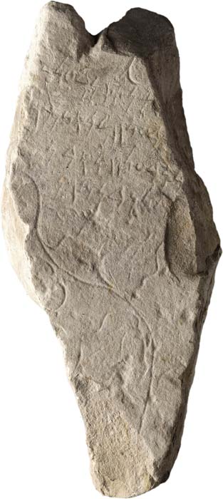 Cat. 575