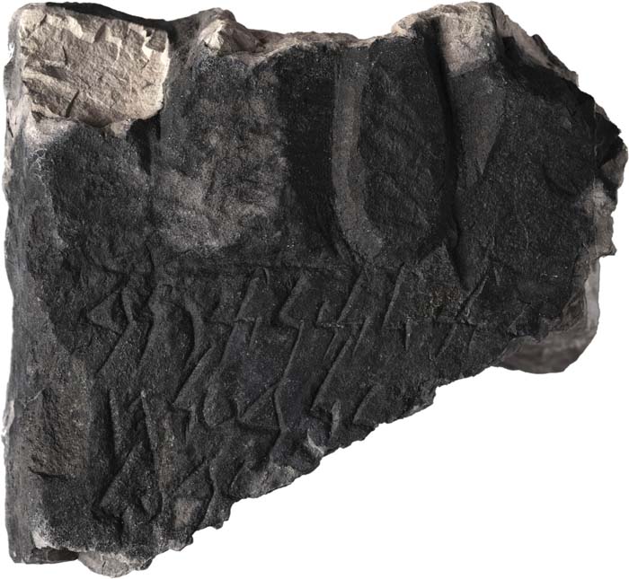 Cat. 585