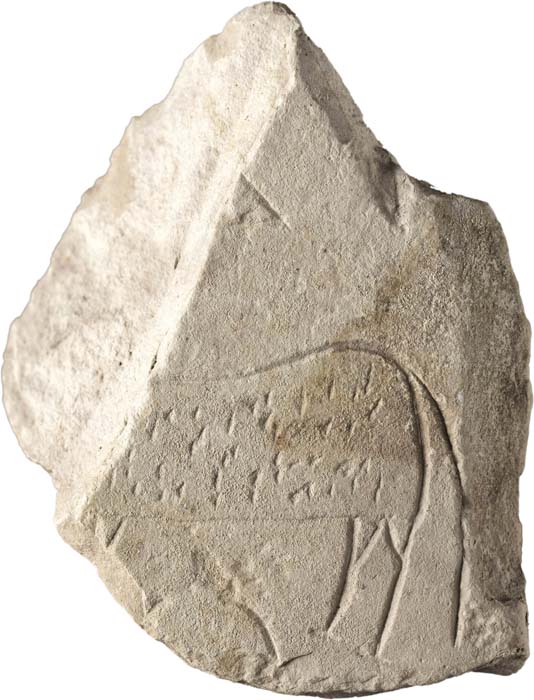 Cat. 1071