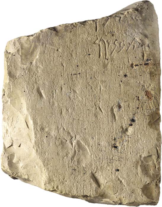 Cat. 591