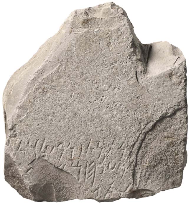 Cat. 654