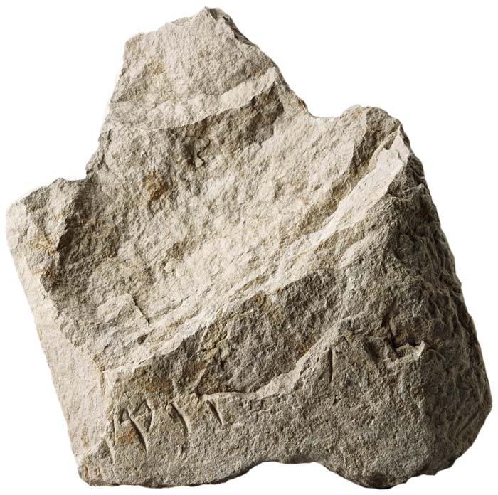 Cat. 694