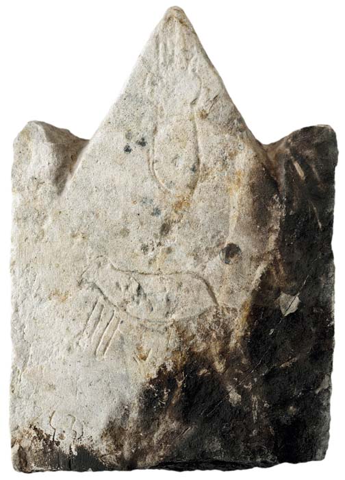 Cat. 743