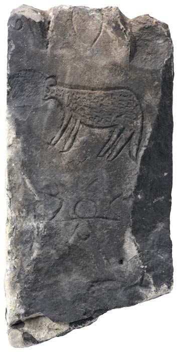 Cat. 756