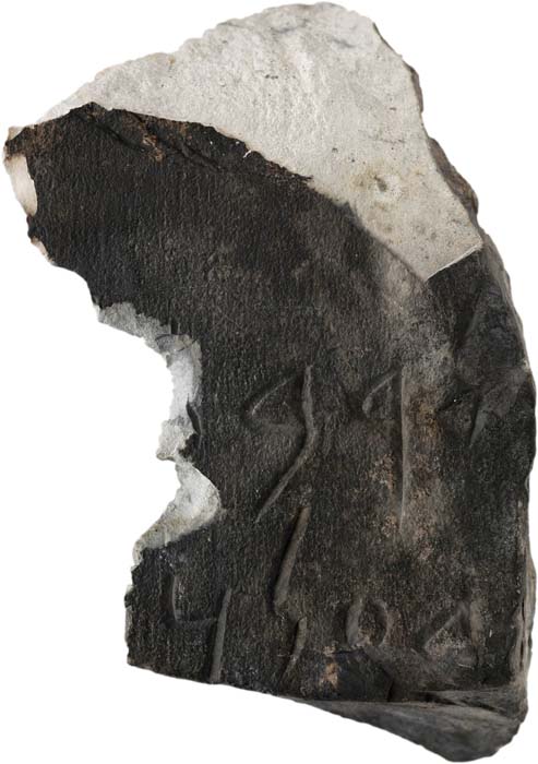 Cat. 783