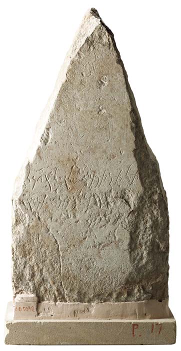 Cat. 1346