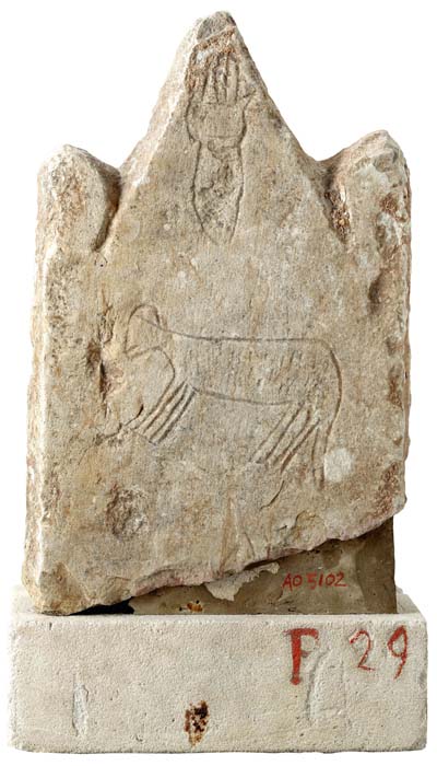Cat. 1353