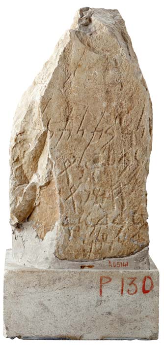 Cat. 19