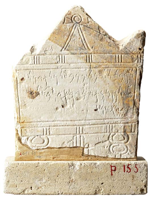 Cat. 1362