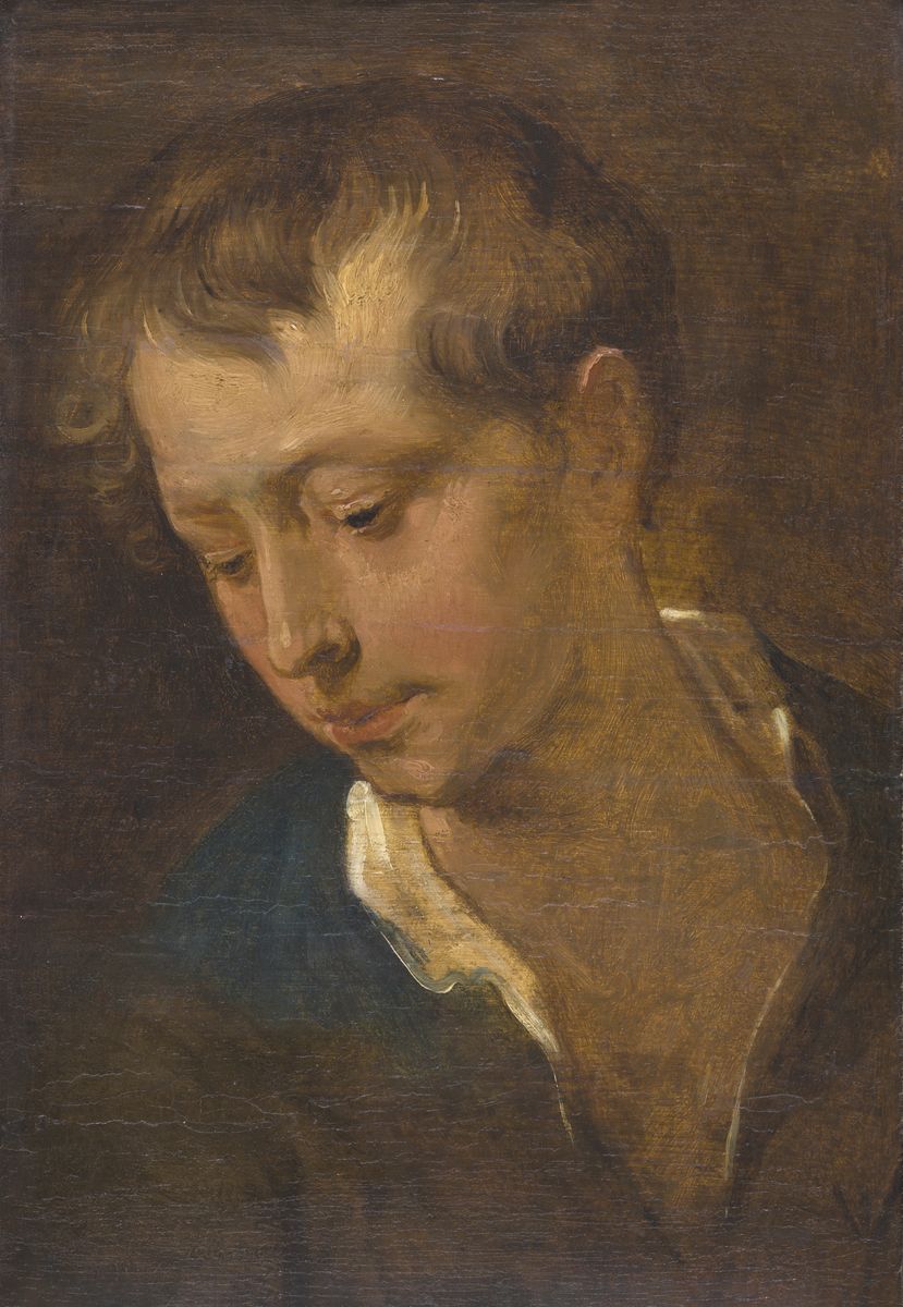 Peinture de Van Dyck représentant la tête d'un jeune homme.